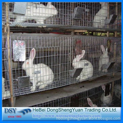 Rabbit Cages For Sale (Female and Baby Rabbits/Commercial Rabbits)